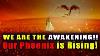 A Great Wave Of Awakening To The Truth Our Phoenix Is Rising Our Antakarana Bridge Is Reforming