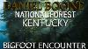 Bigfoot Eye Sighting Encounter Daniel Boone National Forest Kentucky