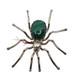 Eddie Secatero Navajo Sterling Silver & Malachite Spider Brooch Pin