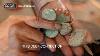How Native American Turquoise Jewelry Is Made Navajo Zuni U0026 Hopi Silversmithing Traditions