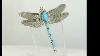 Joe Delgarito Turquoise Dragonfly Pin Native American Sterling Silver 2 Long 32498