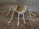 Large Native American Sterling Silver & Amber Spider Pin By Garfield