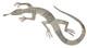 Massive 5 Navajo Sterling Silver Hand Made Lizard Brooch Pin