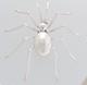 Native American Navajo Handmade Sterling Silver Spider Pin/pendant