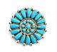 Native American Sterling Silver Zuni Handmade Turquoise Pin