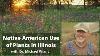 Native American Use Of Plants In Illinois 2022 04 11