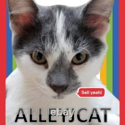 Native American bug pin turquoise sterling 1.25 inch Navajo J Delvin Vintage