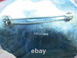 Native American snake pin