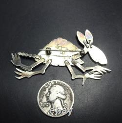 Navajo DARREL JUMBO Whimsical Sterling Silver PIN/BROOCH Armadillo Aardvark