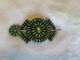 Navajo Tribe Larry M Benally Mojave Turquoise Sterling Silver Hair Pin Barette