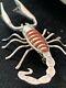 Old Pawn Zuni Sterling Silver Coral Inlay Scorpion Pin Brooch 1054