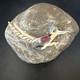 Road Runner Spiny Peridot Navajo Sterling Silver Stamped Pin Brooch 3 19089