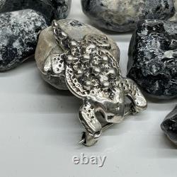 Sterling Silver Horned Toad Brooch Pin Navajo Native American Unmarked