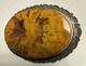 Stunning Estate Large Vtg Native American Sterling Prettified Wood Pin