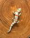 Unique Vintage Native American Cb Lizard Inlay Lizard Pin Red Coral & Fire Opal
