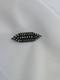 Vintage 1960's Zuni Sterling Silver Turquoise Pin