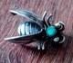 Vintage Native American Navajo Silver Turquoise Beetle With Original Pin