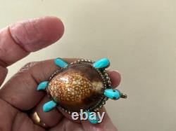 Vintage Native American Zuni Cowrie Shell Turtle Turquoise Brooch Sterling Pin