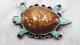 Vintage Zuni Cowrie Shell Turtle Turquoise Brooch Sterling Pin Native American