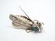 Vtg Native American Silver Stamped Design Insect Cicada With Turquoise Eyes Brooch