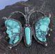 Vtg Zuni Sterling Silver Kingman Turquoise Butterfly Pin Pendant J Romancito