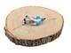 Zuni Jewelry Hummingbird Inlay White Shell And Turquoise Pendant Brooch Pin