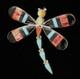 Zuni Multi-stone Inlay Dragonfly Pin/pendant