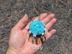 Zuni Multi Stones Inlay Bear Claw Shell Pendant Design Native American Jewelry